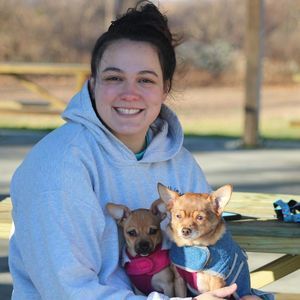 Meet your Posher, Sydney